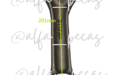 BIELA WP6- (CÓDIGO WP29)