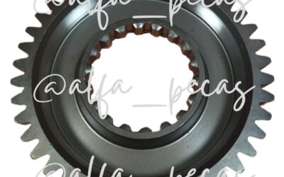 ENGRENAGEM  (CÓDIGO G13)