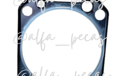 JUNTA DE CABEÇOTE- WP6 (CÓDIGO WP6JT)