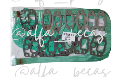 KIT JUNTA DE MOTOR WP6 -(CÓDIGO WP46)