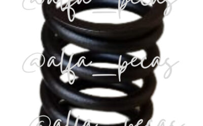 MOLA DE VALVULA- WP6 – (CÓDIGO WP1)