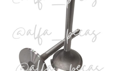 VALVULA DE ESCAPE WP6 (CÓDIGO WP36)