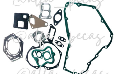 KIT JUNTA DE MOTOR EII WD615 (CODIGO 010)