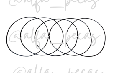 O’RING DA CAMISA 2 DEUTZ WP6 (CÓDIGO WP27)