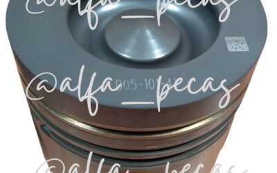 PISTÃO SHANGHAI – 101-41 (CÓDIGO 120)