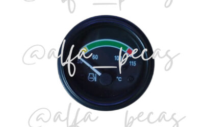 RELÓGIO MARCADOR DE TEMPERATURA (CÓDIGO 555)