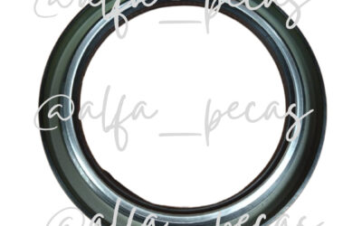 RETENTOR DO CUBO RODA (CÓDIGO 2113)