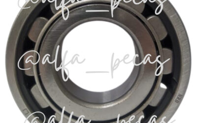 ROLAMENTO (CÓDIGO G209)