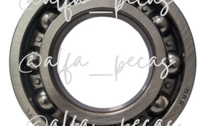 ROLAMENTO (CÓDIGO G229)