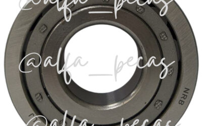 ROLAMENTO (CÓDIGO G226)