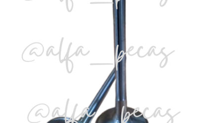 VÁLVULA DE ESCAPE SHANGHAI (CÓDIGO 137)