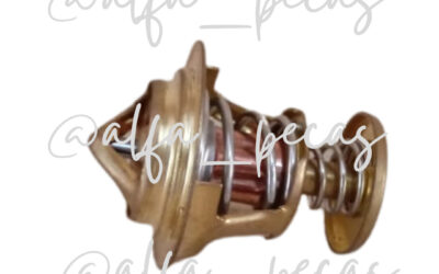 VÁLVULA TERMOSTÁTICA SHANGHAI (CÓDIGO 134)