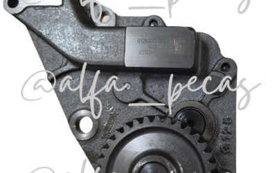 BOMBA DE ÓLEO WP10 33 DENTES (CODIGO N147)