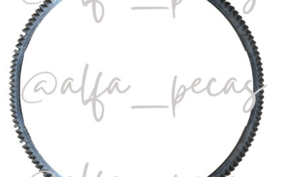 CREMALHEIRA XCMG QY25K 143 DENTES (CODIGO N135)