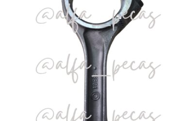 BIELA WP12 (CODIGO WP1216)