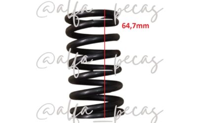 MOLA DE VALVULA WP12 (CODIGO WP1235)