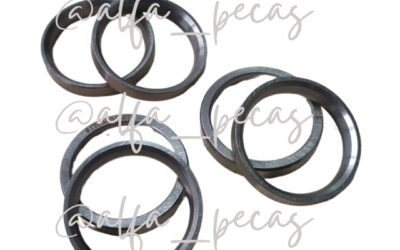 SEDE VALVULA DE ADIMISSÃO WP12 (CODIGO WP1230)