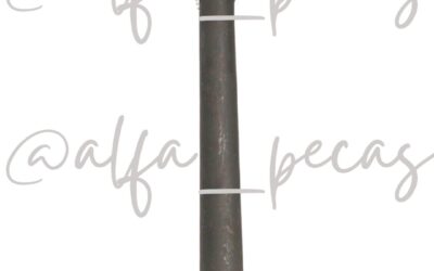 PARAFUSO DO MANCAL MODELO 1 WP12 (CODIGO WP127)